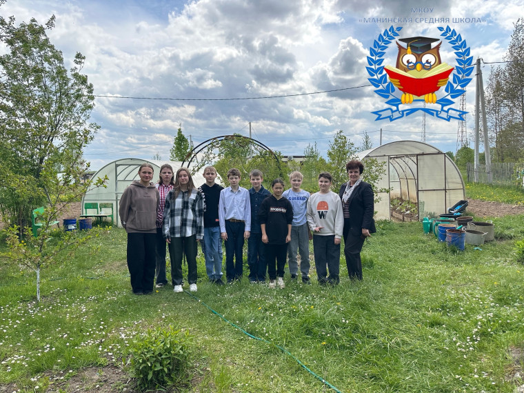 Трудовой отряд "Солнышко".